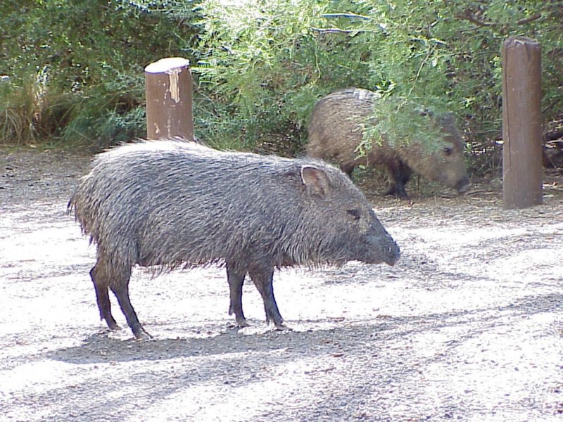 photo10.jpg
