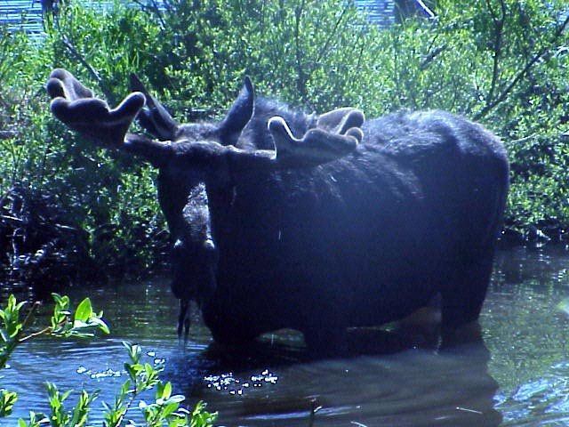 photo3.jpg