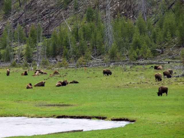 p1040785.jpg