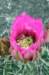 p6110020_small.jpg